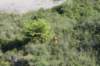 photo75_small.jpg
